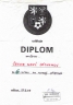0211-Diplom-2008- Nižbor-přípravka.JPG - 
